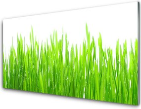 Szkło Dekoracyjne do Kuchni Naturalna Świeżość Trawy