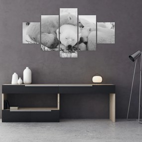 Obraz - Niedźwiedzie polarne (125x70 cm)
