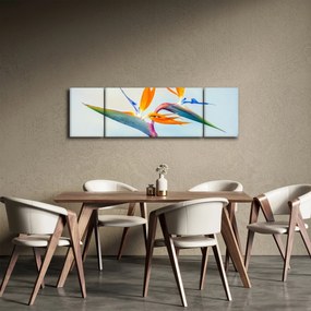 Obraz kwiatu Strelicji (170x50 cm)