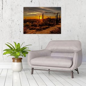 Obraz na szkle - Koniec dnia na pustyni w Arizonie (70x50 cm)