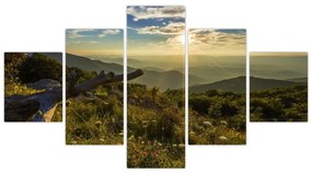 Obraz - Widok na otoczenie (125x70 cm)