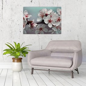 Obraz na szkle - kwiat - czerwony (70x50 cm)