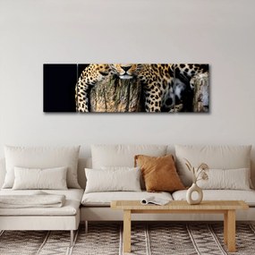 Obraz - Gepard (170x50 cm)