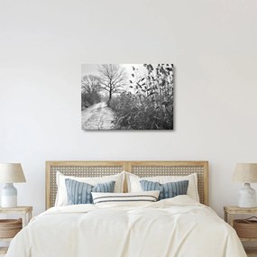 Obraz - Pola w zimie (70x50 cm)