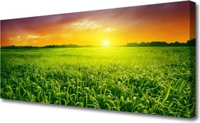 Fotoobraz na płótnie Świt nad Złocistym Zbożem