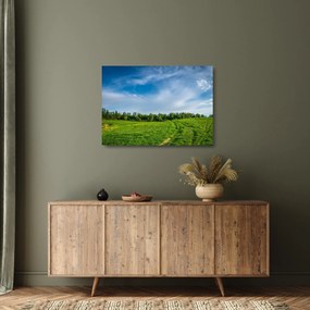 Obraz na szkle - łąka (70x50 cm)