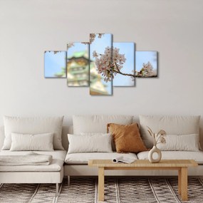 Obraz - Sakura (125x70 cm)