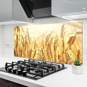 Panel Szklany Dojrzałe Kłosy Zboża