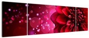 Obraz czerwonego kwiatu (170x50 cm)