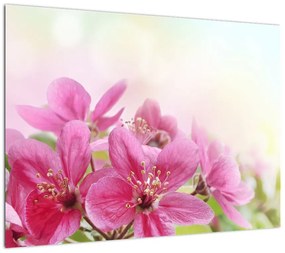 Obraz na szkle - Różowe kwiaty (70x50 cm)