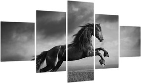Obraz - Czarny i biały koń (125x70 cm)