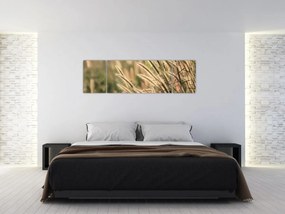 Obraz - Ziarno (170x50 cm)