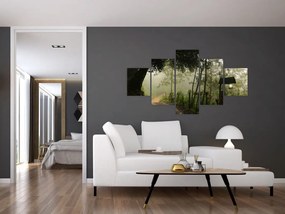 Obraz porannej mgły (125x70 cm)
