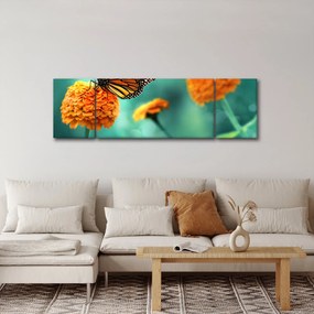 Obraz motyla (170x50 cm)