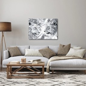 Obraz - Rysowane lwie głowy (70x50 cm)