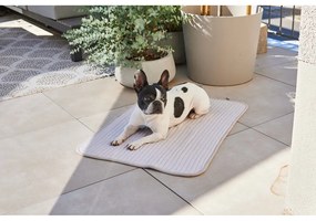 Szary bawełniany koc dla psów 75x100 cm Onda Pebble M – MiaCara