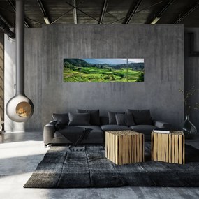 Obraz pól ryżowych (170x50 cm)