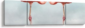 Obraz dwóch flamingów (170x50 cm)