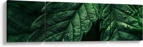 Obraz - Szczegół arkusza (170x50 cm)