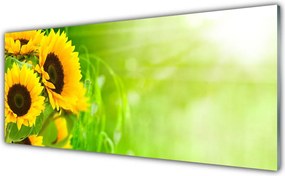 Panel Kuchenny Złociste Słoneczniki Pod Niebem