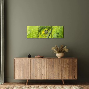 Obraz węża (z zegarem) (90x30 cm)