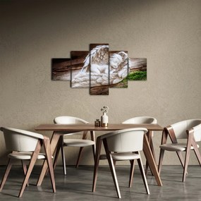 Obraz - Śpiący anioł (125x70 cm)