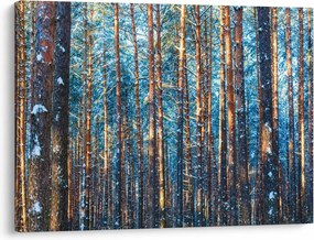 Obraz - Zimowy las (70x50 cm)