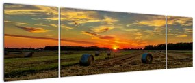 Obraz - Wiejskie bale (170x50 cm)