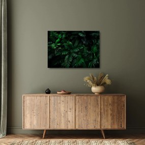 Obraz na szkle - Paprocie tropikalne (70x50 cm)