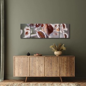 Obraz - Szczegół liści (170x50 cm)