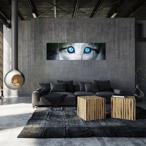Obraz kota (170x50 cm)