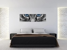 Obraz kota (170x50 cm)