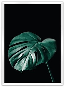 Plakat Dark Monstera