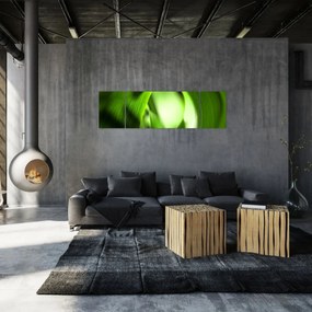 Obraz - Źdźbło trawy (170x50 cm)