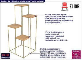 Nowoczesny stojak na kwiaty złoty + dąb artisan Aristo 5X