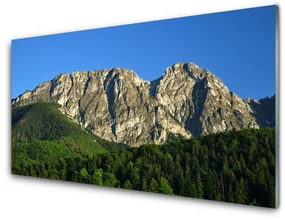 Obraz na Szkle Góra Las Natura