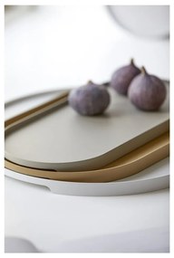 Metalowa taca 23x35 cm Singles – Zone