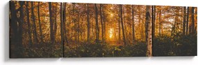 Obraz jesiennego lasu (170x50 cm)