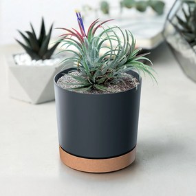 Donica ogrodowa Tubo PM 17,8 cm antracytowy PROSPERPLAST