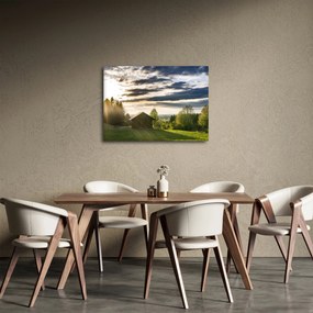 Obraz domku na łące (70x50 cm)