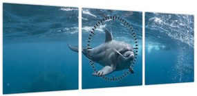 Obraz - Delfin pod wodą (z zegarem) (90x30 cm)