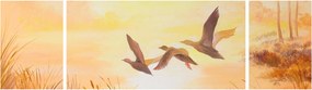 Obraz - Żurawie o zachodzie słońca (170x50 cm)