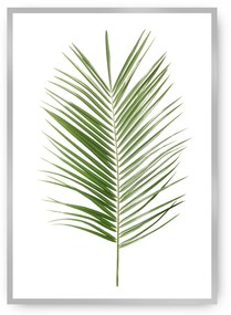 Plakat Palm Leaf Green