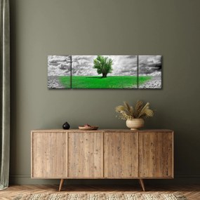 Obraz - Kawałek natury w mieście (170x50 cm)
