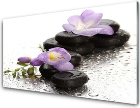 Panel Szklany do Kuchni Równowaga: Kwiat i Skała