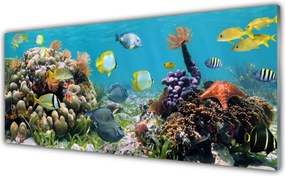 Panel nad blat kuchenny Podwodny Świat Oceanu