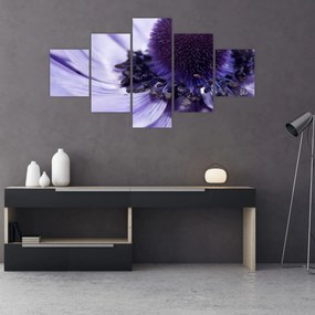 Obraz - Fioletowy kwiat (125x70 cm)