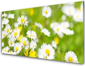 Panel Szklany do Kuchni Urok Polnej Stokrotki