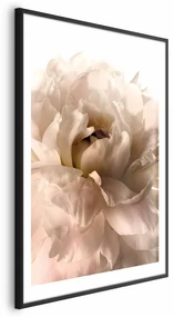 Plakat Miękkie płatki 60x90 cm z ramą czarną z marginesem ARTGEIST B
