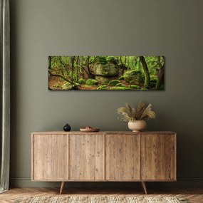 Obraz magicznego lasu (170x50 cm)